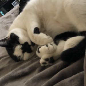 Meet your Posher, Kaitlyn